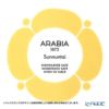 アラビア（ARABIA） スンヌンタイ Sunnuntai ボウル 17cm 1028203