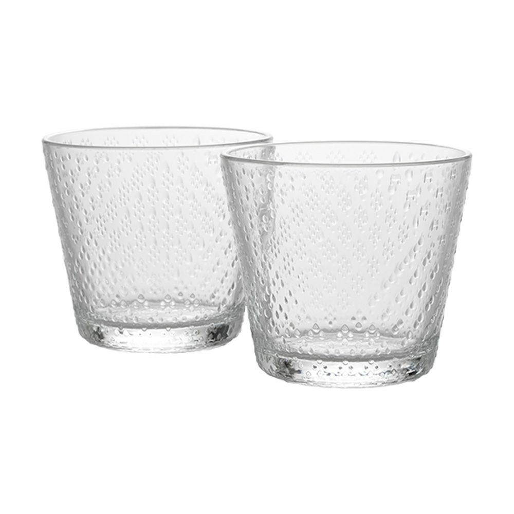 イッタラ（iittala） ツンドラ タンブラー 290ml 1065611 ペア クリア