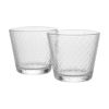 イッタラ（iittala） ツンドラ タンブラー 290ml 1065611 ペア クリア