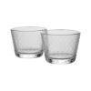 イッタラ（iittala） ツンドラ タンブラー 160ml 1066202 クリア ペア