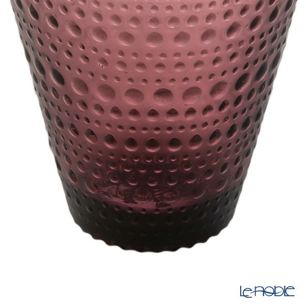 イッタラ（iittala） カステヘルミ タンブラー 300ml カルーナ 1070201 ペア