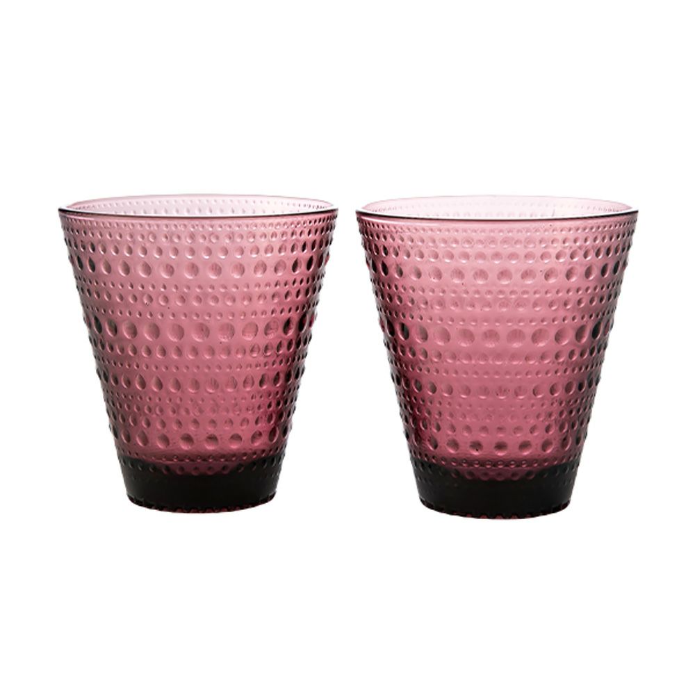 イッタラ（iittala） カステヘルミ タンブラー 300ml カルーナ 1070201 ペア