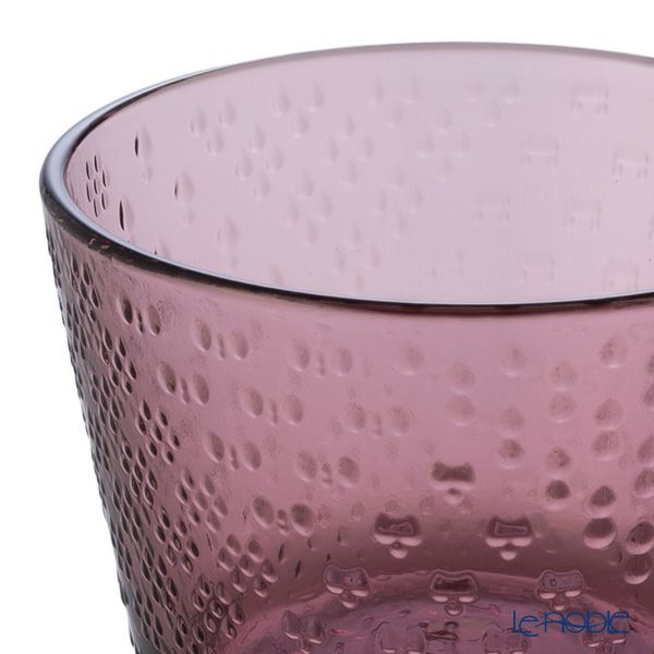 イッタラ（iittala） ツンドラ タンブラー 160ml 1070602 カルーナ ペア