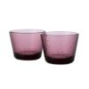 イッタラ（iittala） ツンドラ タンブラー 160ml 1070602 カルーナ ペア