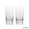 【伝統工芸】田島硝子 富士山グラス 桜切子 タンブラー 400ml TG16-015-2TS ペア【木箱入】