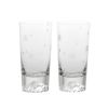 【伝統工芸】田島硝子 富士山グラス 桜切子 タンブラー 400ml TG16-015-2TS ペア【木箱入】