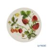 エマ・ブリッジウォーター ベジタブルガーデン ストロベリー プレート 16cm 21SS
