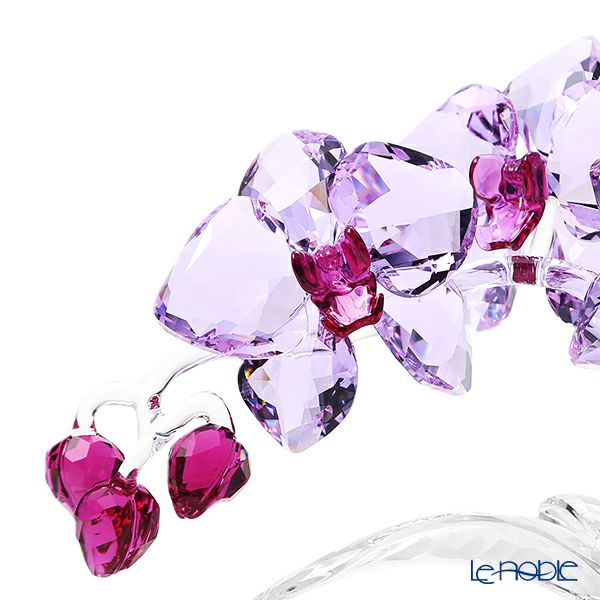 スワロフスキー オーキッド SWV5-520-373 21SS