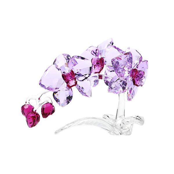 スワロフスキー オーキッド SWV5-520-373 21SS