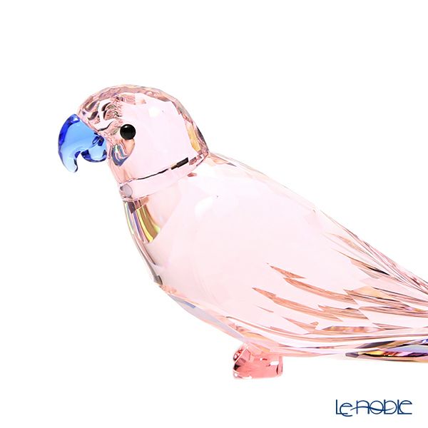スワロフスキー Jungle Beats ピンクのインコ ChaCha SWV5-557-848 21SS