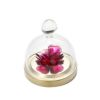 スワロフスキー Garden Tales ローズ ガラス鐘（S） SW5619223 22SS