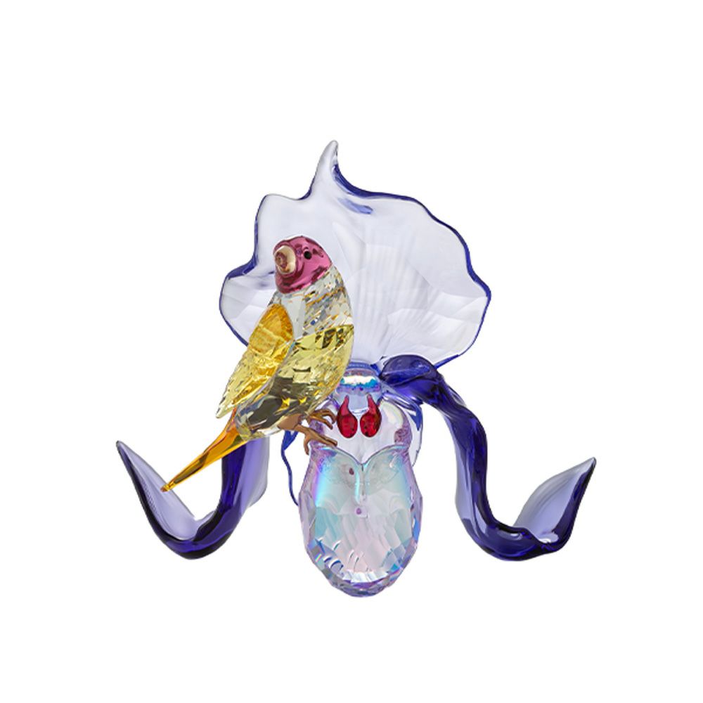 スワロフスキー Idyllia コキンチョウとオーキッド SW5675211 25SS