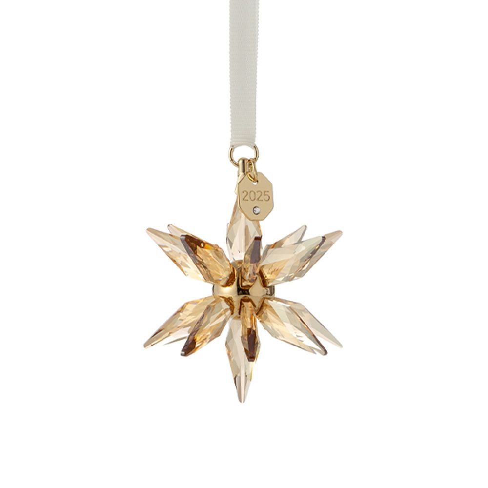 スワロフスキー Annual Edition Festive 3Dオーナメント 2025年度限定生産品 クリスマス SW5701505 25AW