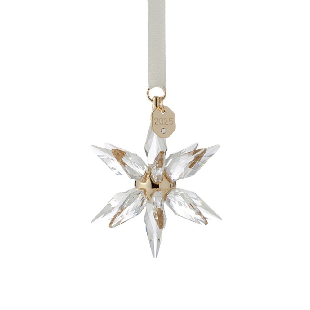 スワロフスキー Annual Edition 3Dオーナメント 2025年度限定生産品 クリスマス SW5701506 25AW