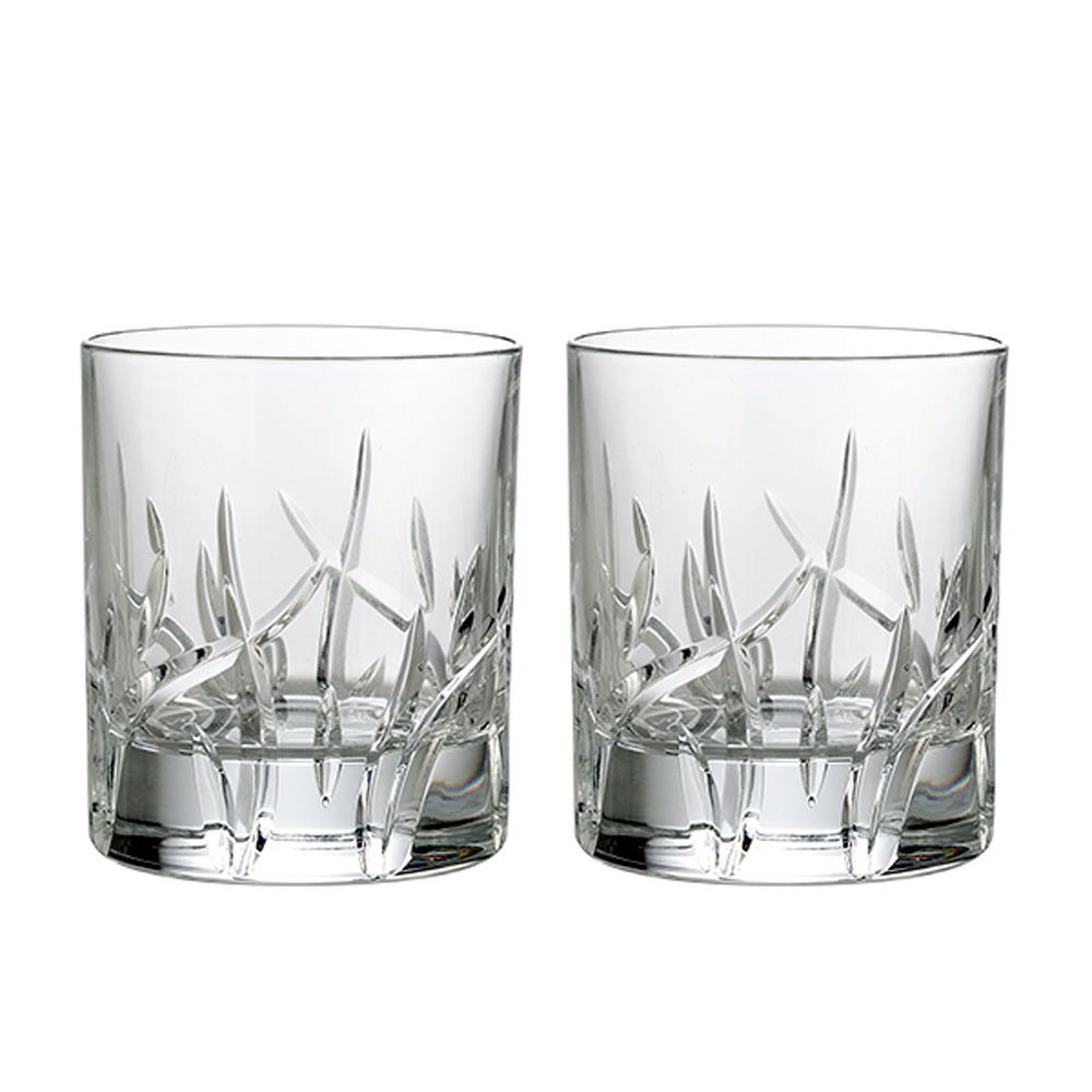 ダ・ヴィンチクリスタル ザラ オールドファッション 290ml ペア