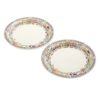 ジアン（Gien）バガテル ディナープレート27.4cm ペア 1781B4A450