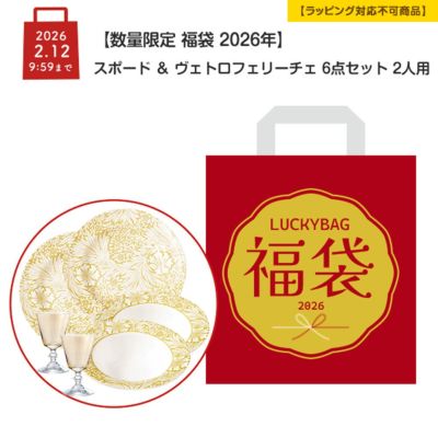 数量限定 福袋 2026年】ヴェトロフェリーチェ グリッター 4点セット