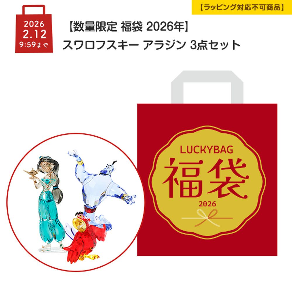 【数量限定 福袋 2026年】スワロフスキー Aladdin アラジン 3点セット【ラッピング不可】