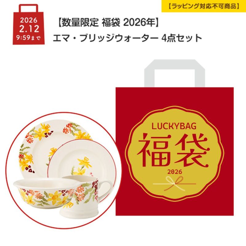 数量限定 福袋 2026年】エマ・ブリッジウォーター 4点セット