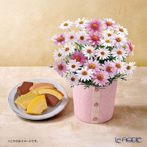【母の日 花と暮らしギフト】 【5／6～5／10のお届け】5号鉢マーガレット（さくらべーる）と「銀座千疋屋」銀座フルーツクーヘン8P C40-3／81009 ※常温便※