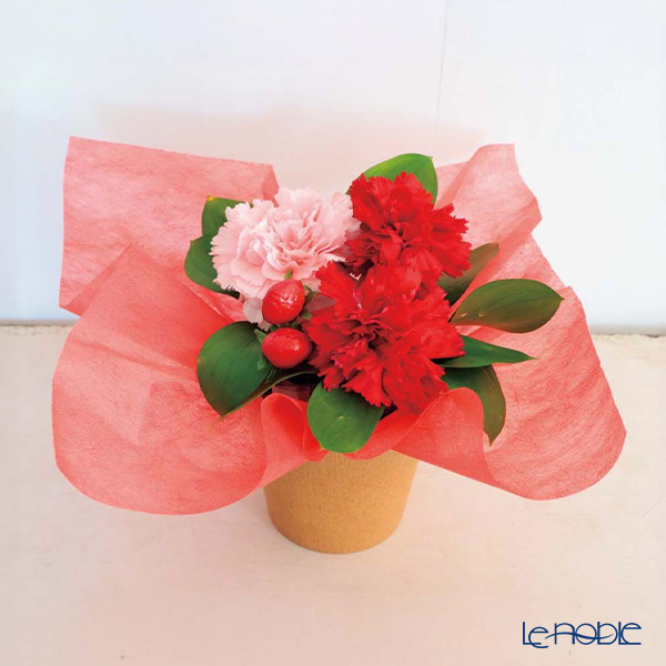 【母の日 花と暮らしギフト】 【5／6～5／10のお届け】アレンジメント イチゴミルク T-4／81028 カーネーション＆造花